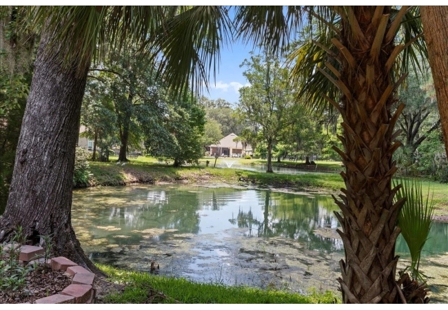 11418 PALMETTO BLVD House photo 35