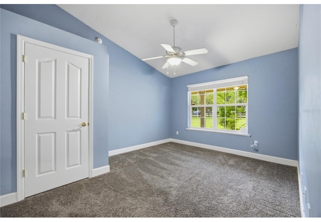 21601 OLD BELLAMY RD House photo 33