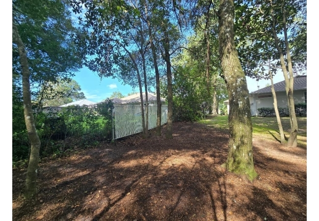 13607 NW 136 DR House photo 8