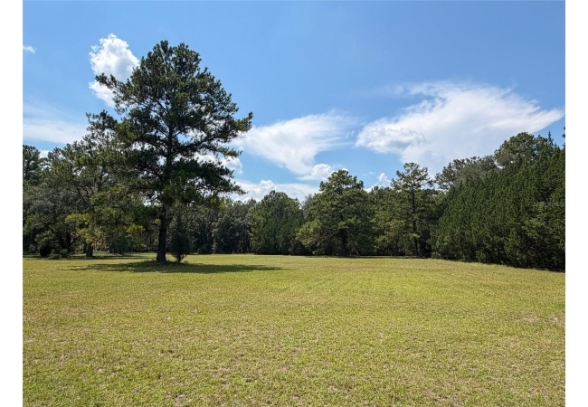 28622 N STATE ROAD 121 House photo 28