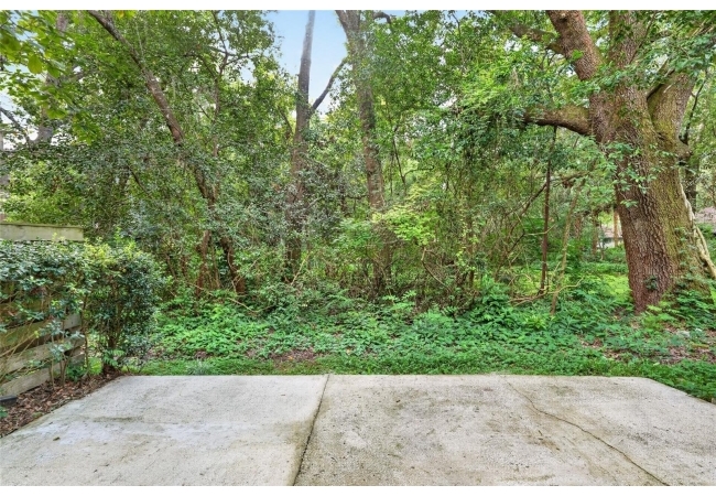 4411 BLACK FOREST WAY Condo photo 61