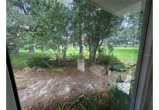 11793 CREEK DR House photo 19