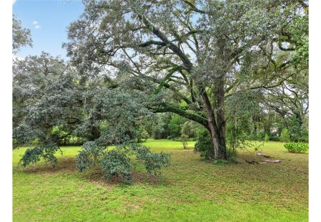 17011 NW 110TH AVE House photo 18